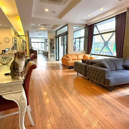 Hotel Hotellino 4*